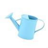 Iron Watering Can 20oz Easy Grip Handle Design for Precise Indoor and Outdoor Plant Care Gardening Supply