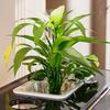 Breeding Container Fish Tank Turtle Tank Aquarium Living Room Balcony Ecological Terrariums Transparent Goldfish Tank Products