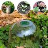 5PCS PVC Plant Protectors Dome Covers with Highly Visibility And Cold Weather Resistances for Garden Greenhouses Use