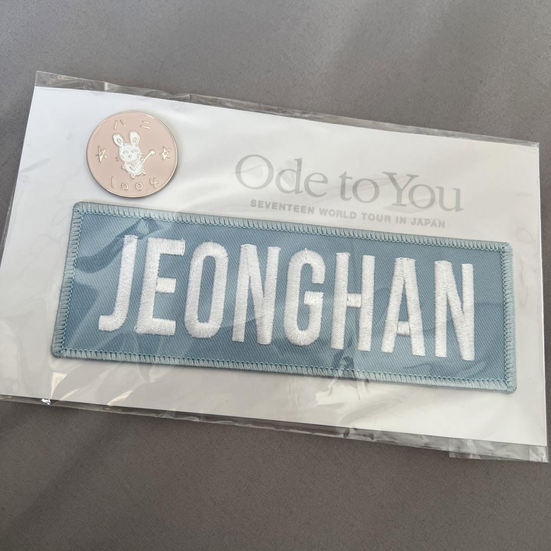

[USED] Jeonghan pin badge