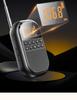 Mini Bluetooth Rechargeable FM/AM Radio with Card Slot