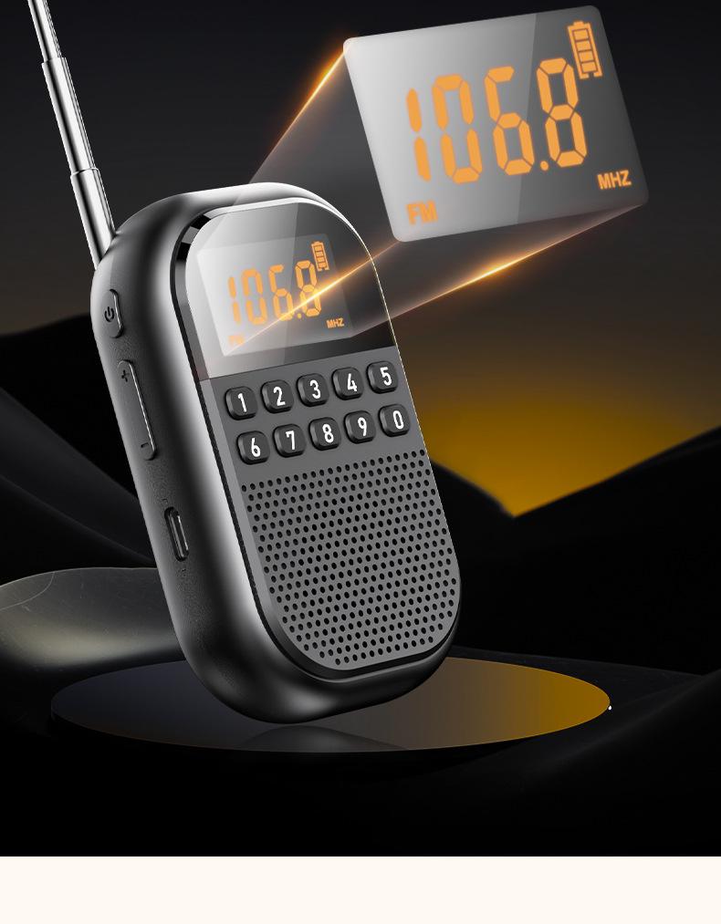 Mini Bluetooth Rechargeable FM/AM Radio with Card Slot