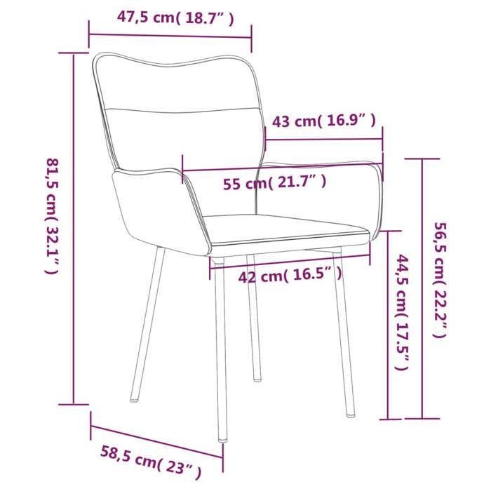 VidaXL 2x Chaises de Salle à Manger Fauteuils à Dîner Chaises de Cuisine Sièges à Dîner Chaises de Repas Restaurant 344820