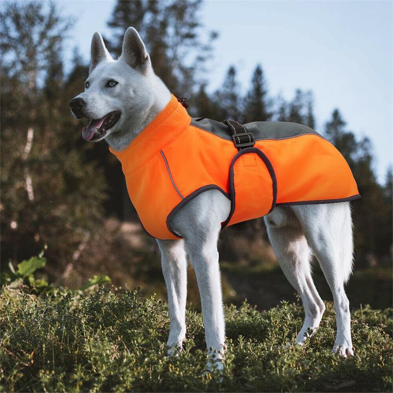 large dog jackets for winter