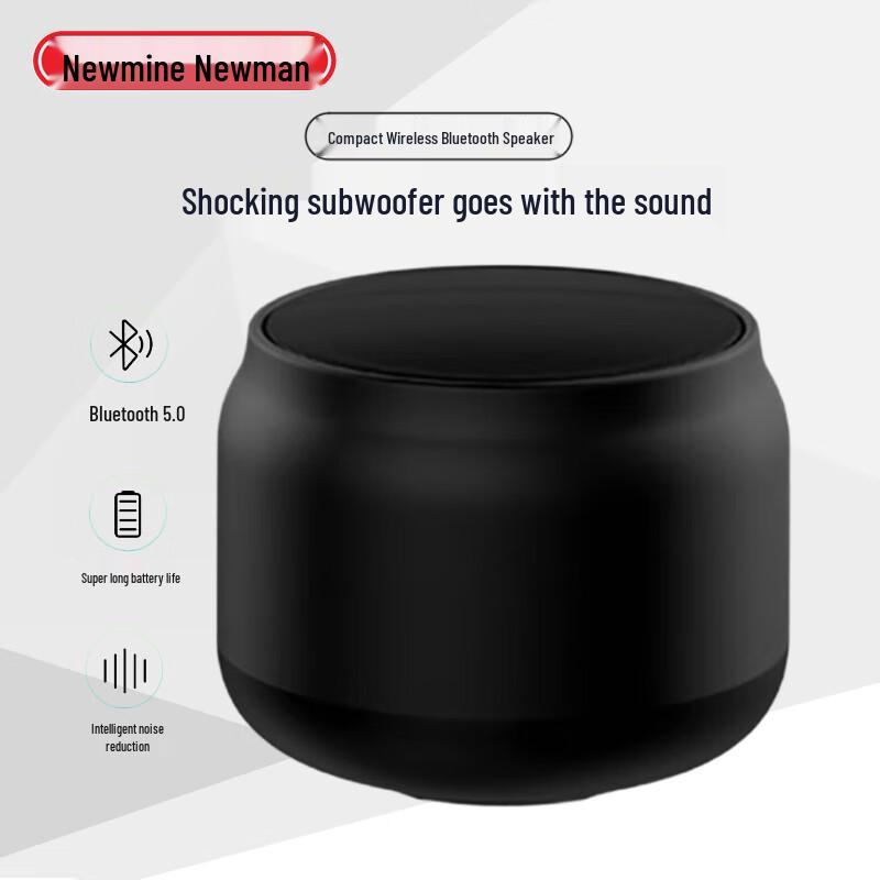 

Newmine BT31 Portable AI Bluetooth Speaker
