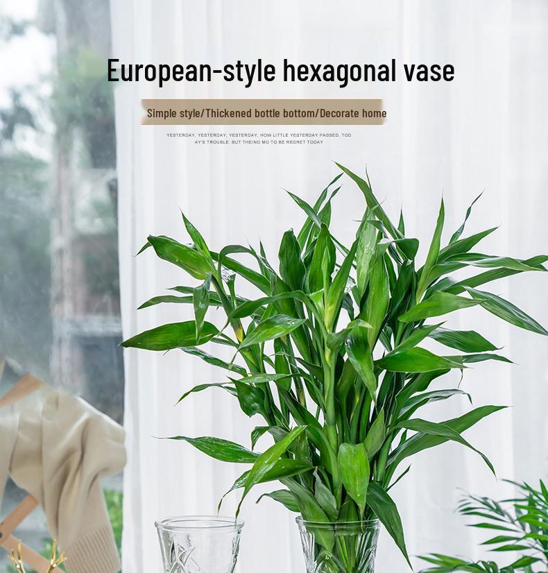 Thickened Transparent Glass Vase for Hydroponic Bamboo & Dry Flower Arrangement