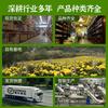 Herbal Mo Han Lian Loose Leaf Tea Sun Dried Natural Drink 50g 100g 250g 500g
