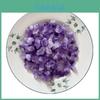 Exquisites natürliches Amethyst-Kristallhaufen-Gesteinsproben-Exemplar, ideal für Heimdekoration und Reiki-Heilung