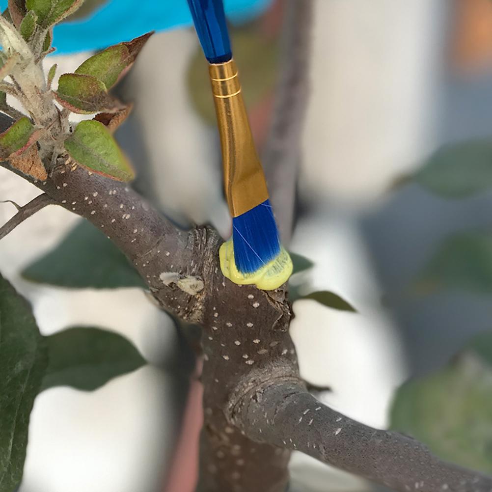 100 g Bonsai-podepasta Plante sårhelingsmiddel med børstebeskjærepasta
