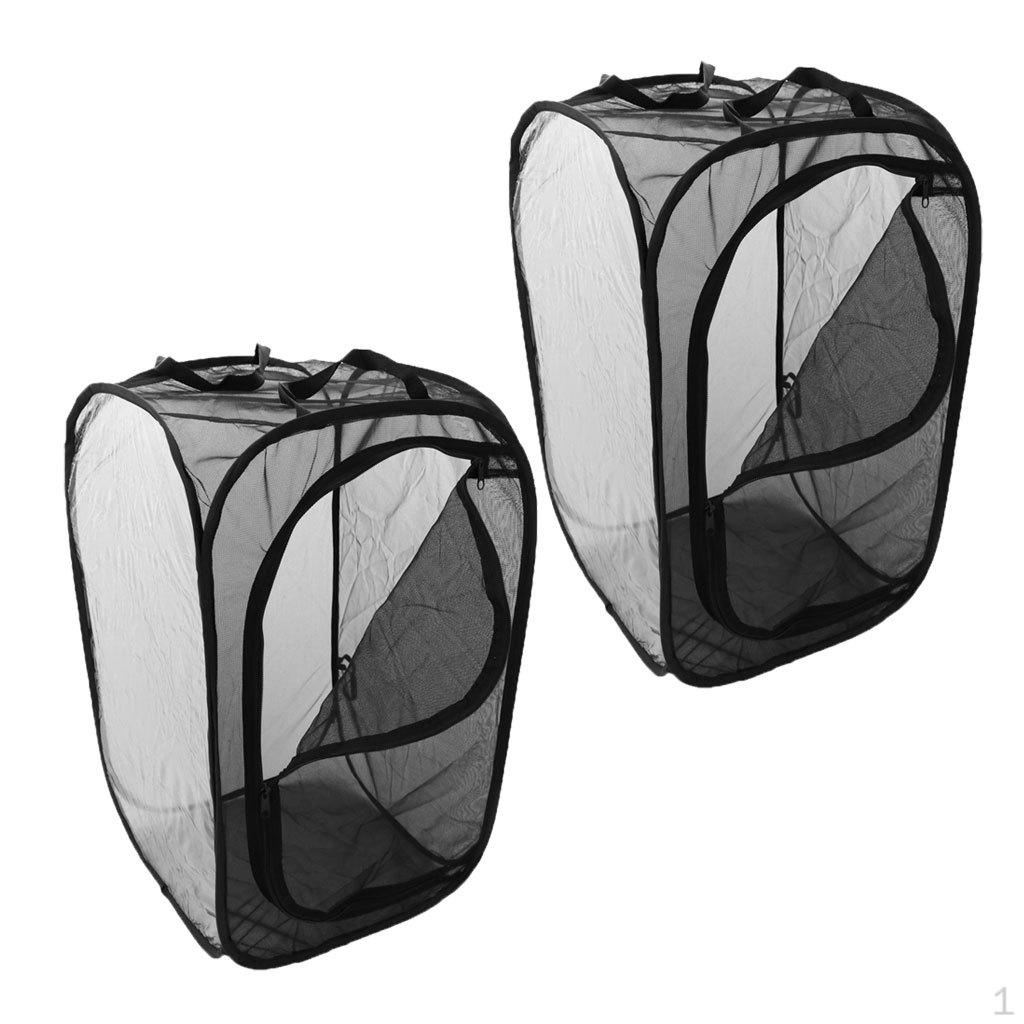 

2 Pcs Butterfly and Cage Observing House Folded Box