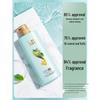 Shu Lei Green Tea Seed Oil Control Anti-Dandruff Shampoo