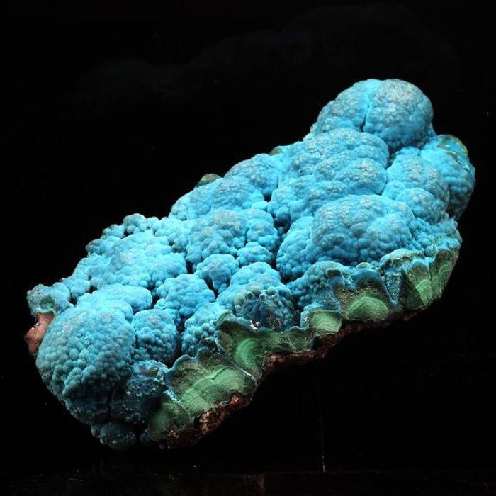 Pierres et Minéraux. Chrysocolle. 619.0 ct. Lupoto Mine, Katanga, Congo.