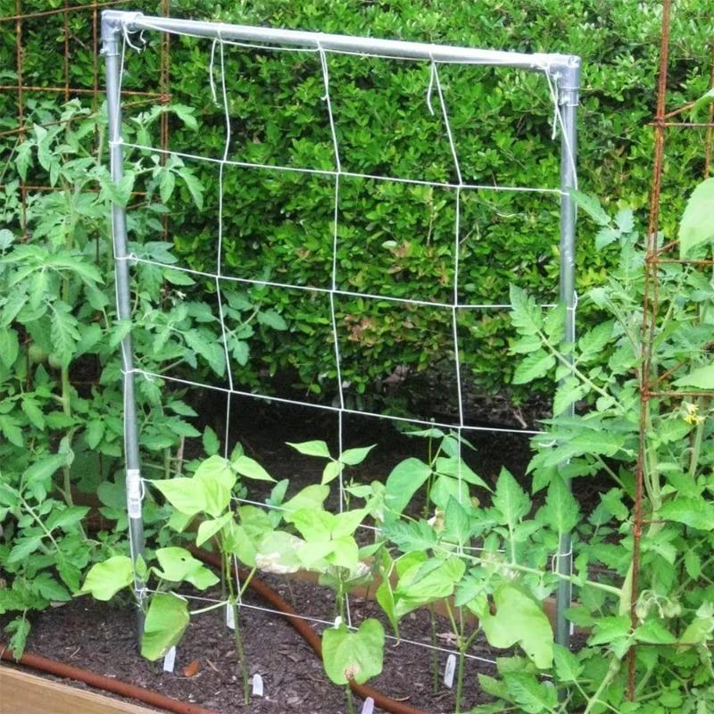 Garden Square Mesh Trellis Netting Polyester Plant Climbing Support Net For Outdoor Vegetables Fruits Vines Grow Tent Climber Holder