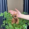Plush Charming Small Dog Keychain With Ultra Soft Pp Cotton Filling And Stylish Design