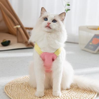 Summer Macaron Pet Can Lead Puppies, Kittens, Two-legged Suspenders, Spring and Summer Thin Breathable Two-legged Cat Clothes