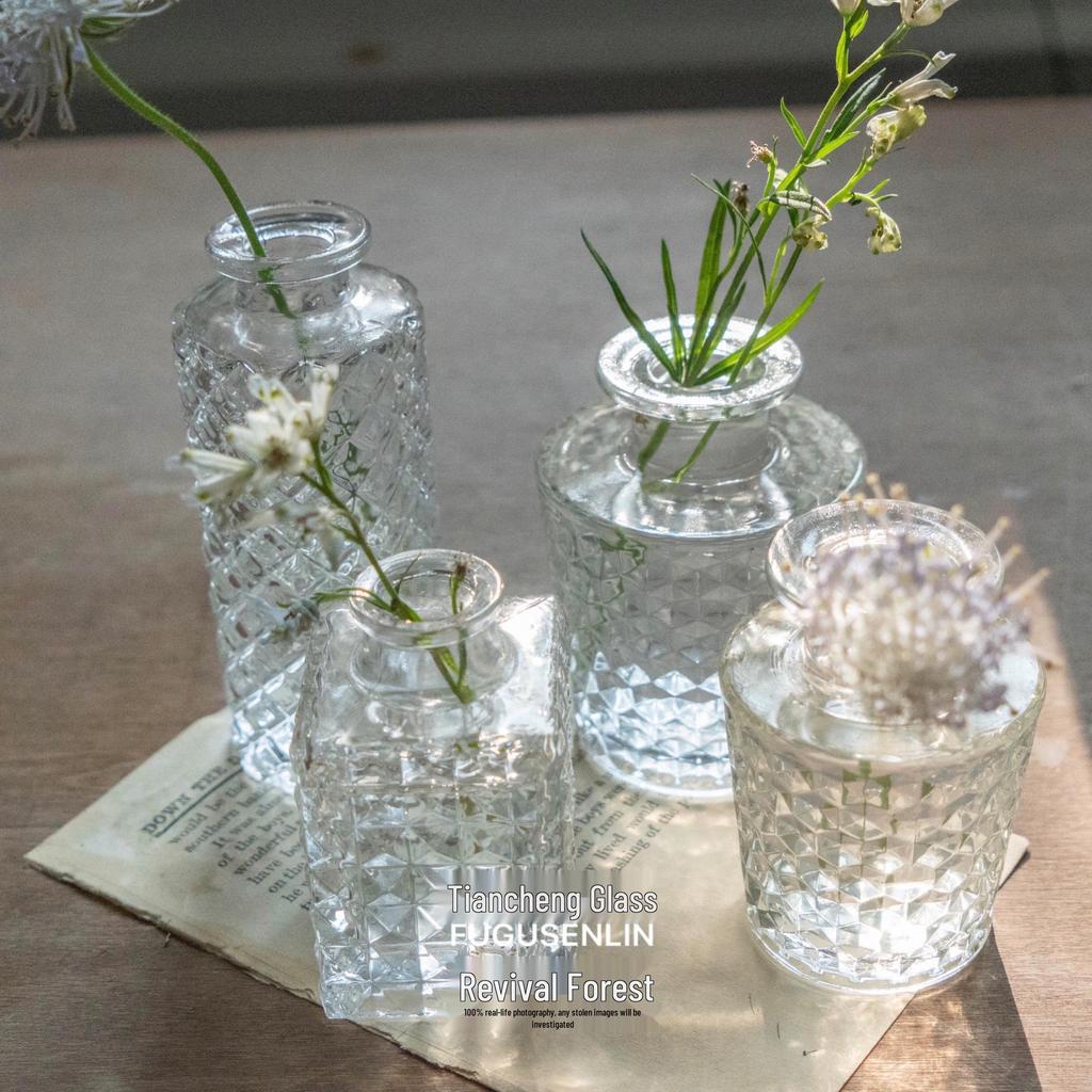 Small French Retro Glass Vase for Flowers and Hydroponics