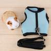 Hamster Rabbit Harness Set Small Animal Pet Safety Walking Vest With  Leash (Light Blue M)