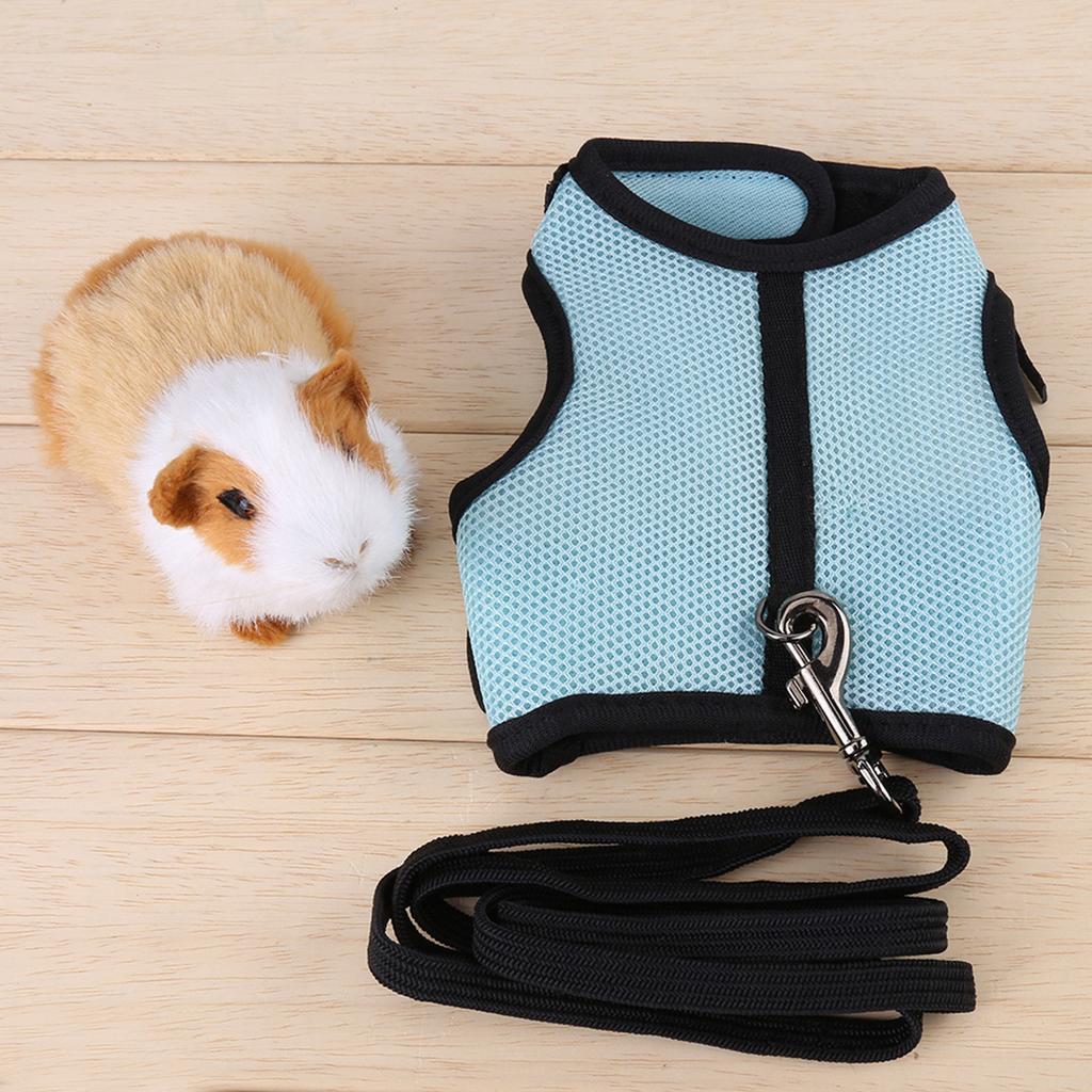 Hamster Rabbit Harness Set Small Animal Pet Safety Walking Vest With  Leash (Light Blue M)
