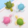 Magneti per Frigorifero Tartaruga 3D Dipinti a Mano - Adesivi Decorativi Animali Colorati