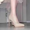 Fashion Shoes for Women Pointed Toe Office 8cm 10cm Thin Heeled Sexy Woman Pumps Spring Elegant Nude Shallow Mouth Dress Womens Shoes