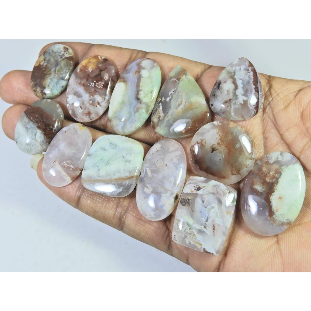 317Cts. Natural Chrysoprase Mix Shape Cabachon Loose Gemstone 12 Pcs Lot C-2567