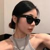 New Arrival Small Cat Eye Sunglasses Women Oval Vintage Brand Elliptic Round Sun Glasses for Female Shades Female Eyewear