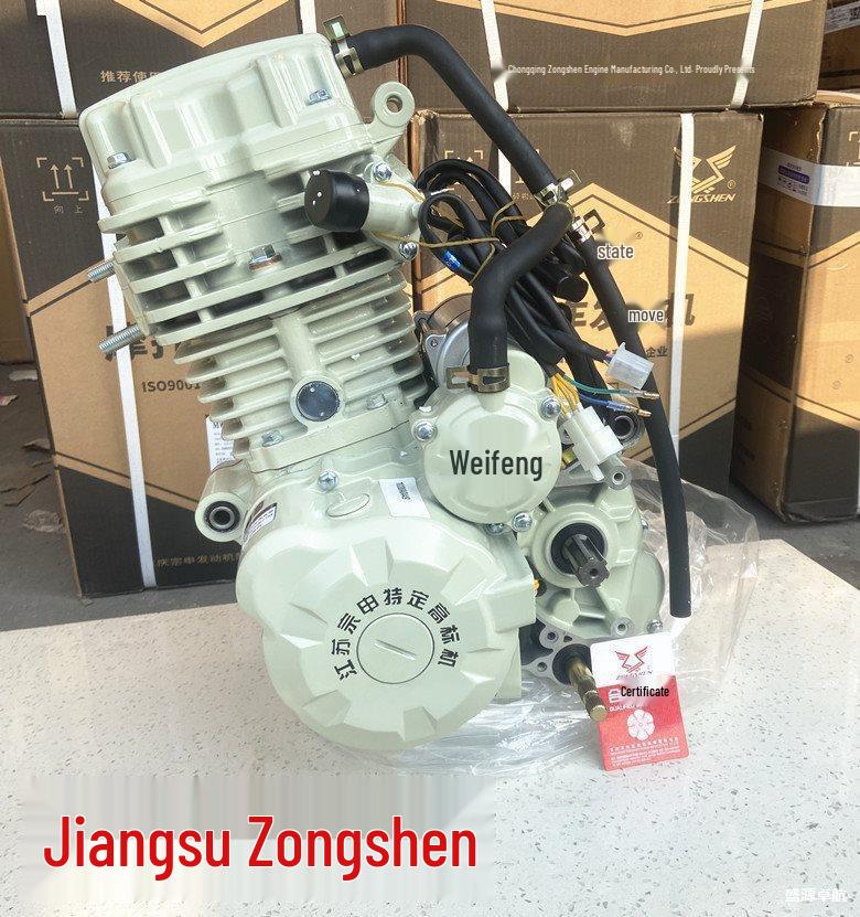 Compatible Engine Head for Jiangsu Three-Wheeled 150/200/300 Bingwei Xin Chaoba Weifeng Hanwei Motors