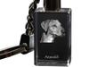 Azawakh, Tuareg Sloughi - Crystal Key Ring with Dog Photo, Illuminated Key Ring, Unique Gift by Art-Dog Brand