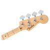 Jazz Maple White Aqua Marine Metallic Fender/Standard Bass, Fingerboard, Pickguard,