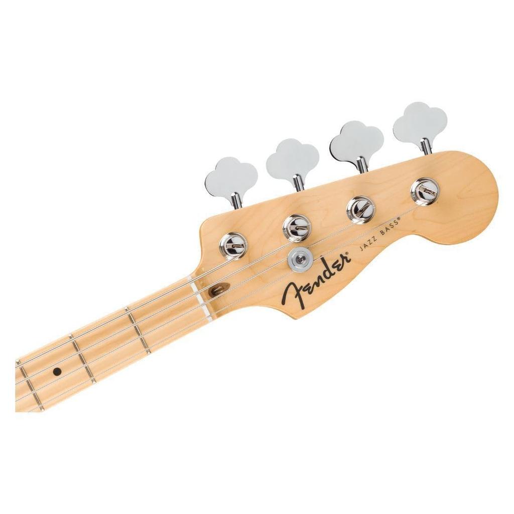 Jazz Maple White Aqua Marine Metallic Fender/Standard Bass, Fingerboard, Pickguard,