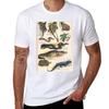 Vintage french biology illustration Quillet Reptiles TShirt Lightweight Casual Summer TShirt