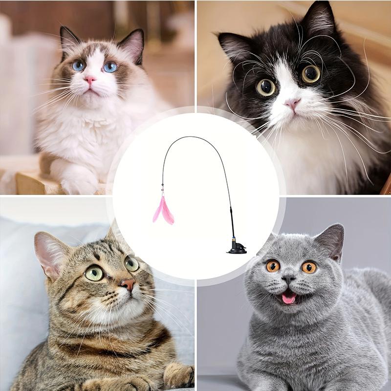 Long Suction Cup Pole Exciting Playtime Adventures Ultimate Cat Toy Interactive Bell Feather Wand Cat Teaser Toy