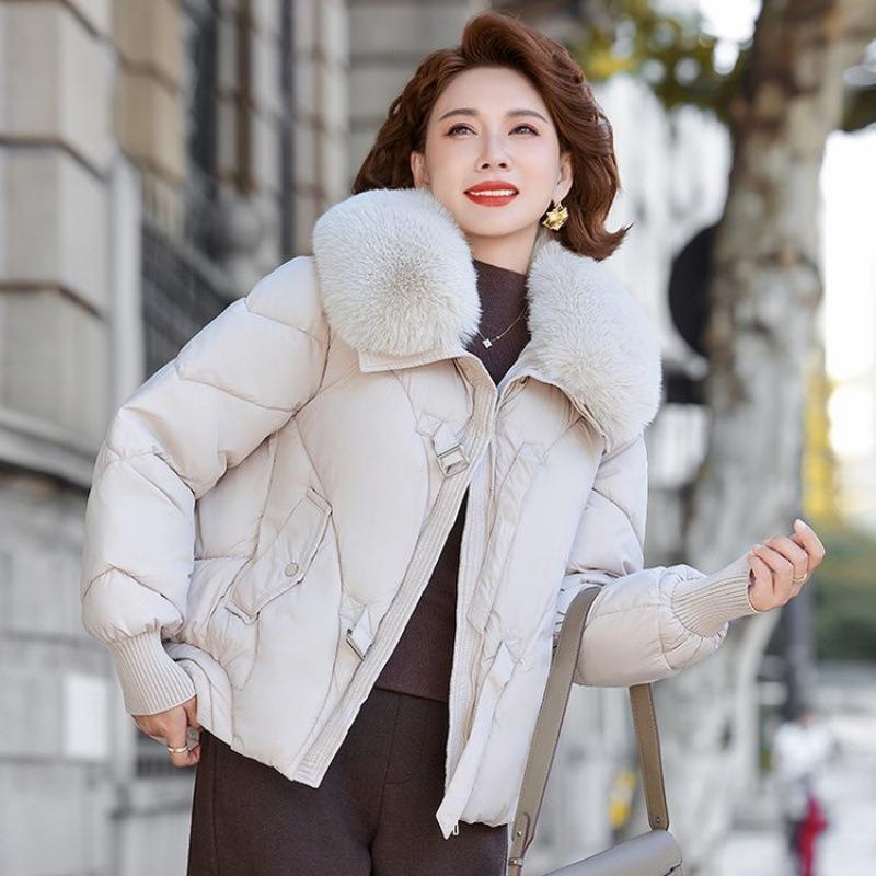 New winter new down cotton-padded jacket short loose cotton-padded jacket sweater collar thickened cotton-padded jacket