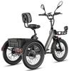 Bicicleta Eléctrica Fafrees F20 Mate Motor de 250W Frenos de Disco Doble Neumático de Aire 20"x2.5" Plegable E-Bike de Carga Pantalla LCD 48V 21Ah Carga Máxima 180Kg