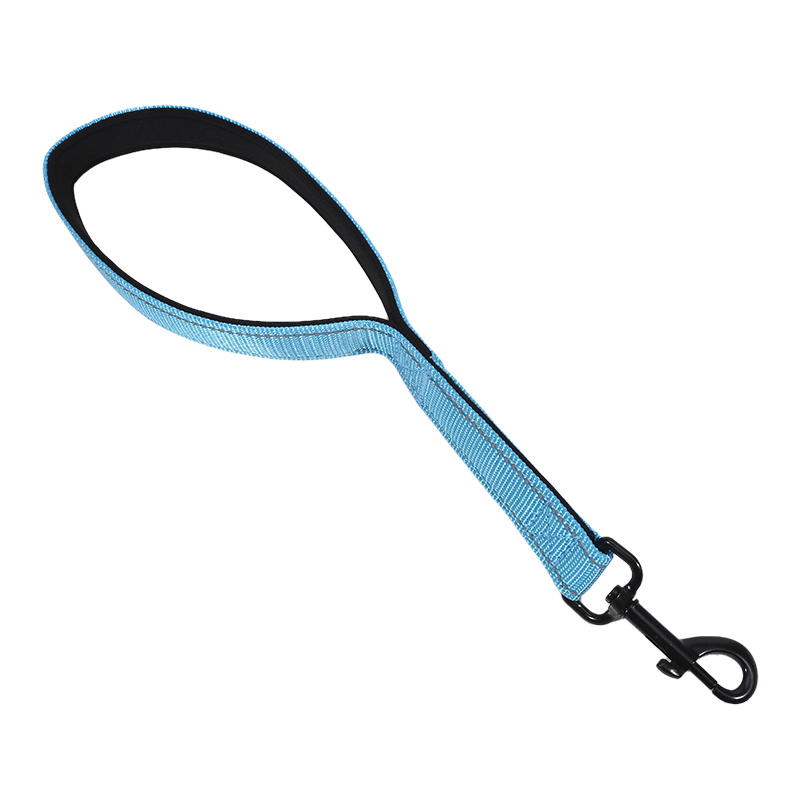 

Short Nylon Dog Lead for Training Heavy Duty Traffic Leashes Comfortable Safety Control Handle for Large & Medium Dogs світло-синій колір