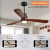 6.5 Inch Ceiling Fan LED Light Replacement PC 3 Color Dimmable Flush Mount Eye Care LED Fan Light Board Panel Retrofit