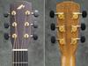 Guitare Acoustique Modèle Signature MORRIS Daisuke Minamizawa S-101M