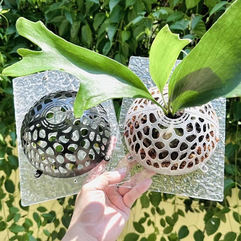 Reusable Plants Soil Protector Cover Plastic Hollowed Plant Support Transparent Garden Tools Transparent Floral Hole Cover