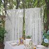 White Lace Curtain Living Room Decorative Curtain Door Window Cabinet Curtains Bedroom Floating Tulle Sheer Window Shade