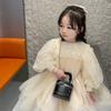Stylish Mini Pu Bucket Bag For Girls With Chain Crossbody Design Perfect For Kids