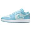 Air 1 Low SE GS Aquarius Blue Kids Sneakers Glacier-Blue Hyper-Violet FN7366-400
