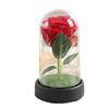 Gold Foil Rose Night Light - Eternal Flower Ornament for Valentine's Day & Birthday