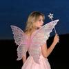 Adults Fairy Wings Girls Ling Angel Wings Butterfly Costume Wings Halloween Costume Dress Up Party Favor Christmas Gift