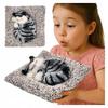 Bonecas e peluches – Peluches