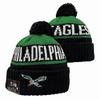 Lion Rugby Knit Hat, Dolphin Outdoor Warm Sun Hat, 49ers Hip Hop Ear Protection Hat