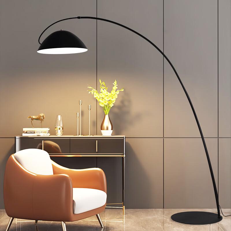 OEING Minimalist Floor Lamp