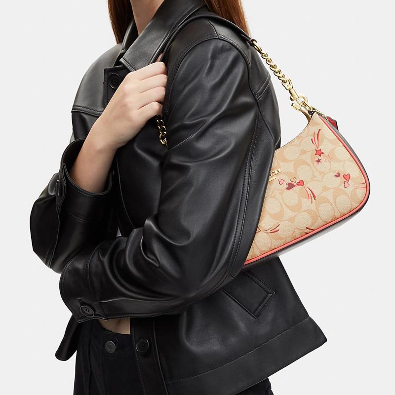 New COACH Women's Teri 23 Shoulder Bag CJ644-IMOT4