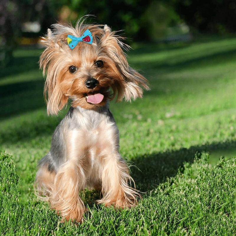 Pet Bow Tie Hair Clips, Pet Grooming Bows, Small Dog Hair Decorations, Small Dog & Cat Daily Wear Accessories, Suitable For Multiple Occasions