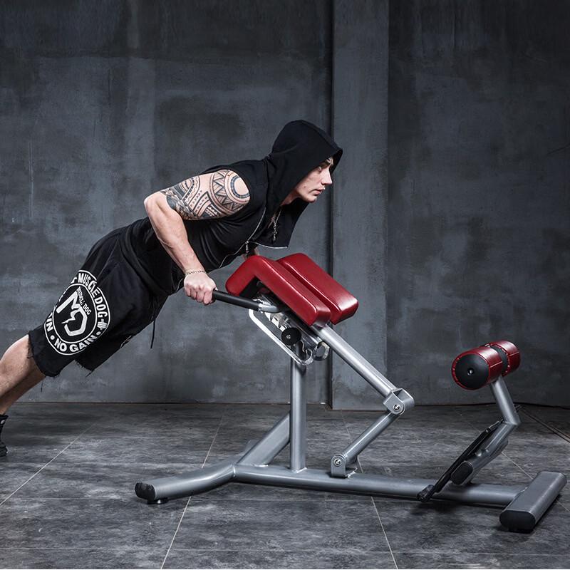 YANBO Roman Chair Hyperextension Bench