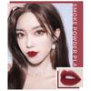 Texture Spacewalk Appearance Dual-use Velvet Matte Lip Paste for Girl